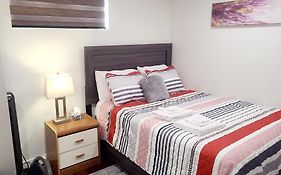 Two Luxury Bedrooms In The Basement